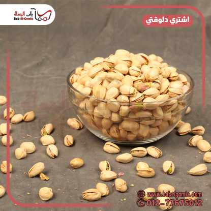 صورة فسدق حصي امريكي ني 21/25