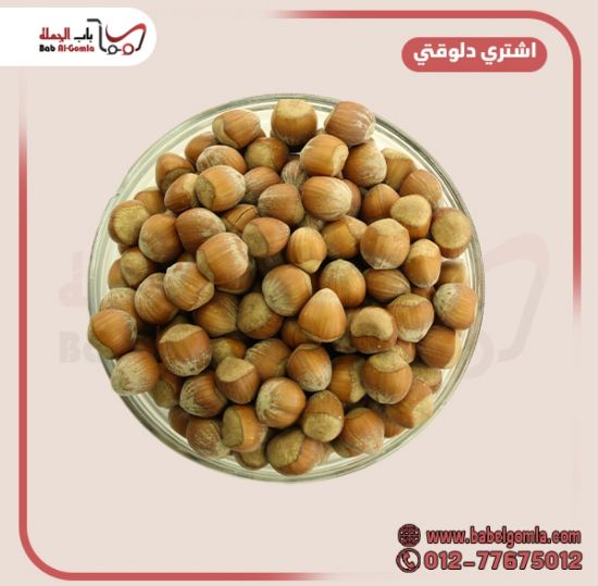صورة بندق حصي امريكي كيلو